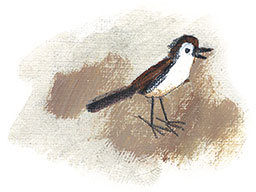 Лекарство от послушности (сборник) - i_031.jpg