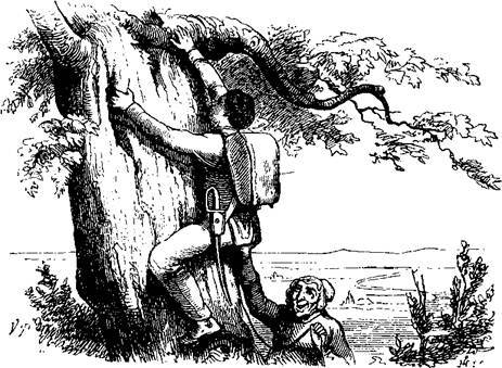 Сказки, рассказанные детям. Новые сказки - i_008.jpg