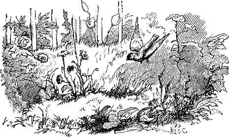 Сказки, рассказанные детям. Новые сказки - i_030.jpg