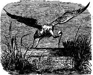 Сказки, рассказанные детям. Новые сказки - i_042.jpg