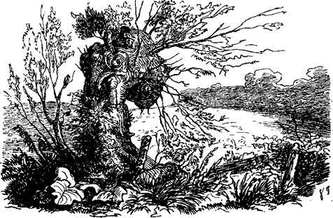 Сказки, рассказанные детям. Новые сказки - i_056.jpg