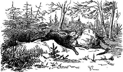 Сказки, рассказанные детям. Новые сказки - i_071.jpg