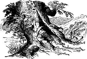 Сказки, рассказанные детям. Новые сказки - i_082.jpg