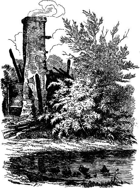 Сказки, рассказанные детям. Новые сказки - i_093.jpg