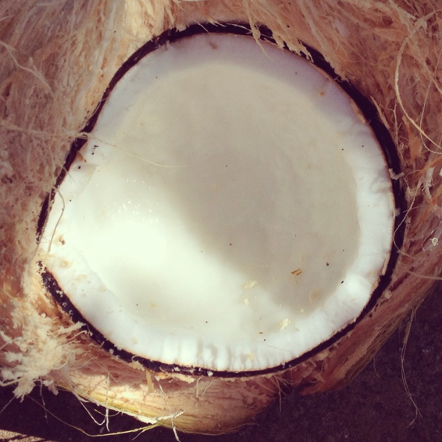 Что делать зимой в Гоа - image18_53f810f22ae392b611725f4d_jpg.jpeg