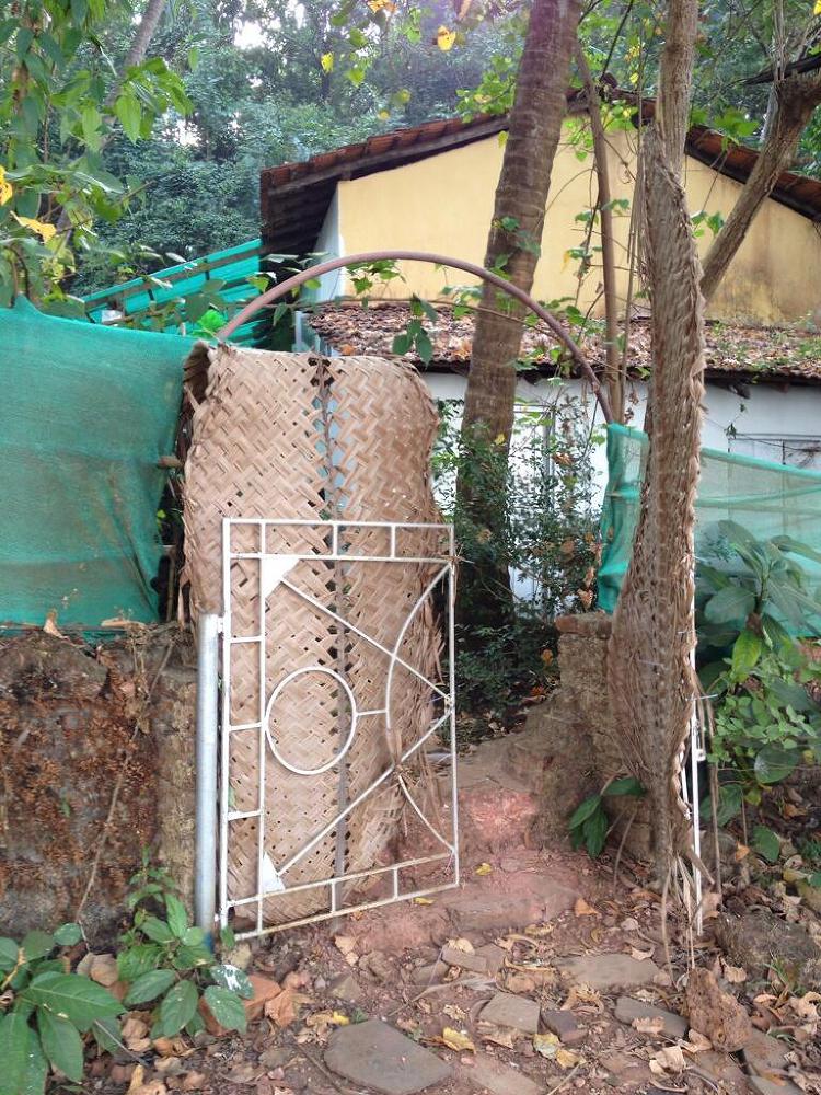 Что делать зимой в Гоа - image19_53f80fea2ae392b611725f42_jpg.jpeg