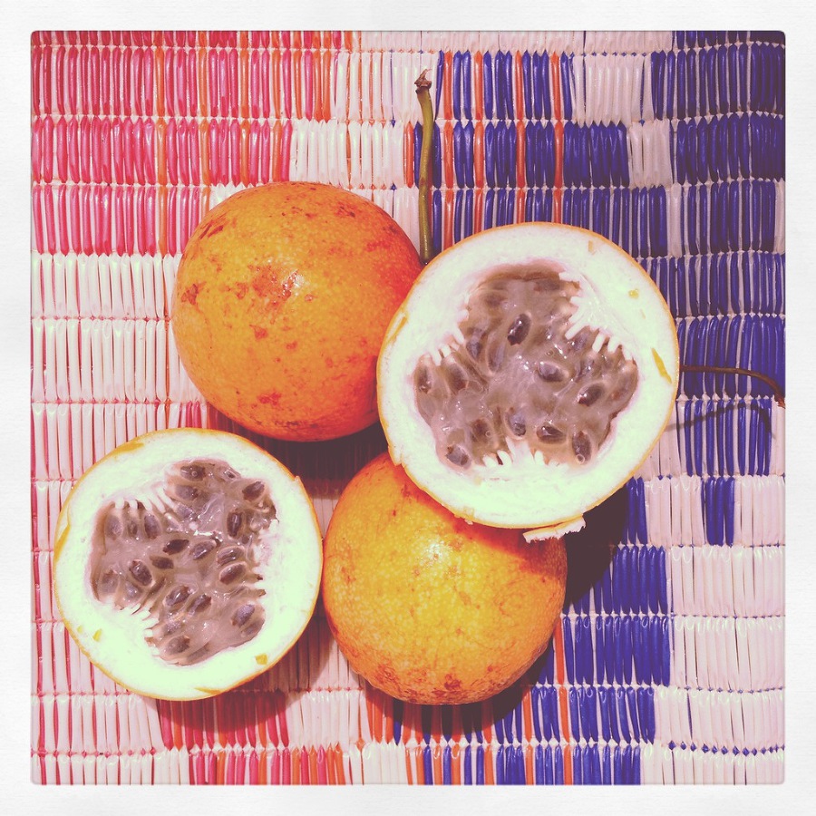 Что делать зимой в Гоа - image25_53f813052ae392b611725f6d_jpg.jpeg