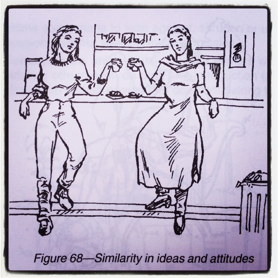 Что делать зимой в Гоа - image35_53f8161d2ae392b611725fa0_jpg.jpeg