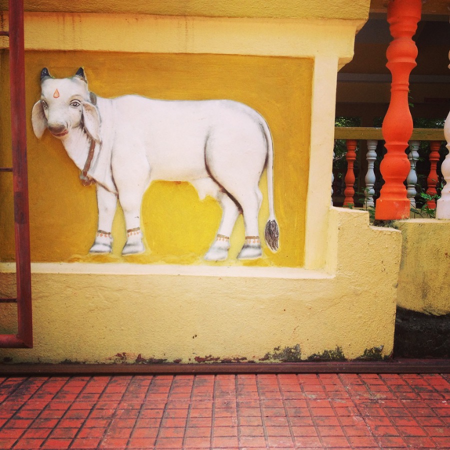 Что делать зимой в Гоа - image47_53f81fa62ae392b611725fdd_jpg.jpeg