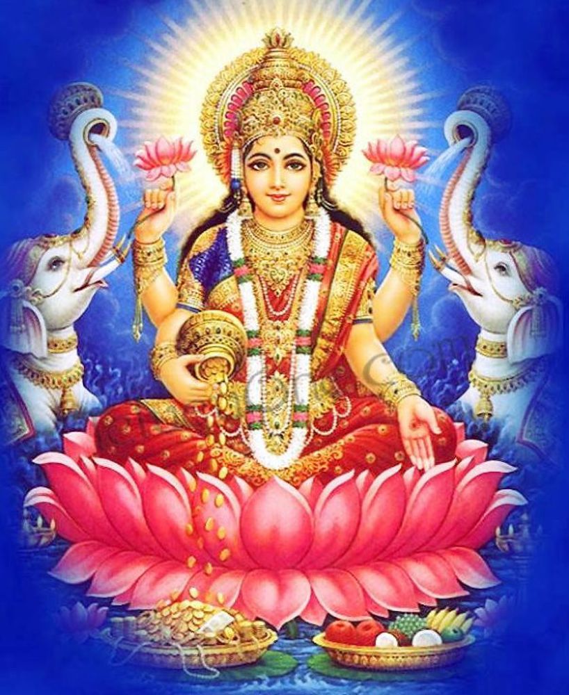 Что делать зимой в Гоа - image55_540183ec3cc7cb6a6cc4fb61_jpg.jpeg