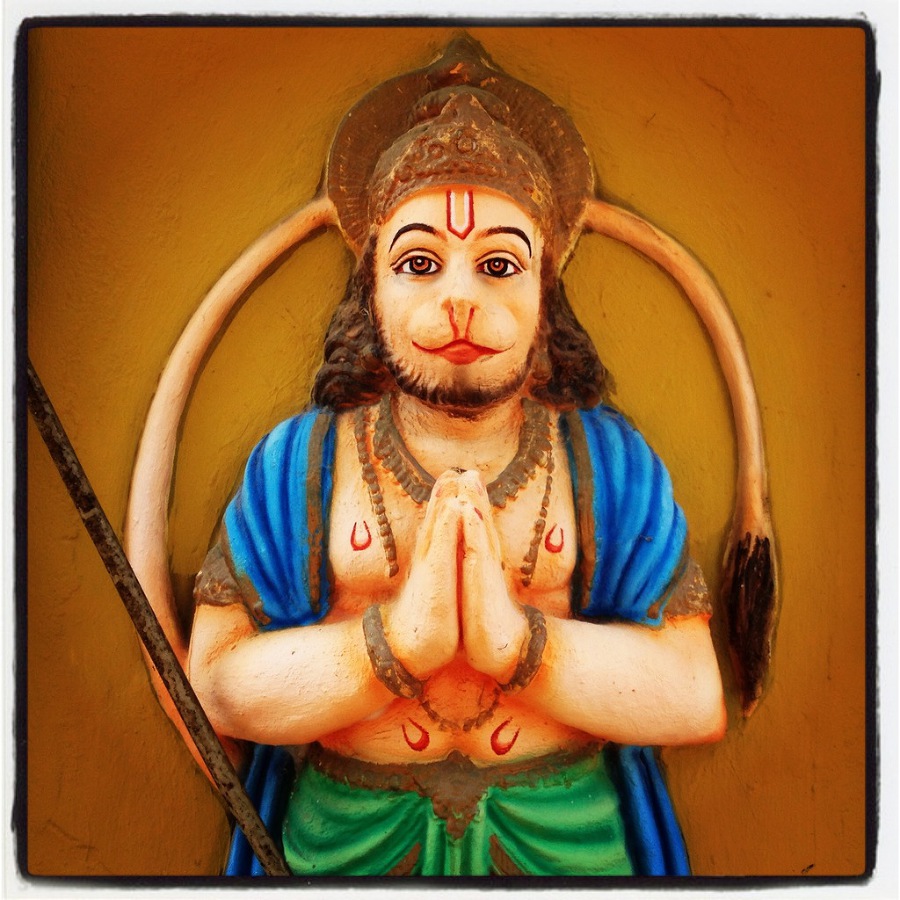 Что делать зимой в Гоа - image59_53f826f12ae392b611726010_jpg.jpeg