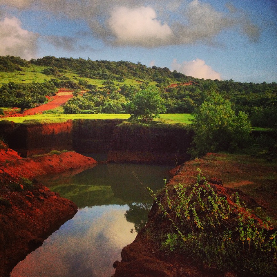 Что делать зимой в Гоа - image64_53f846fc2ae392b61172607c_jpg.jpeg