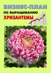 Бизнес-план по выращиванию хризантемы - Шешко Павел