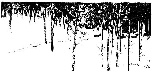 Пашка из Медвежьего лога - pic_10.jpg