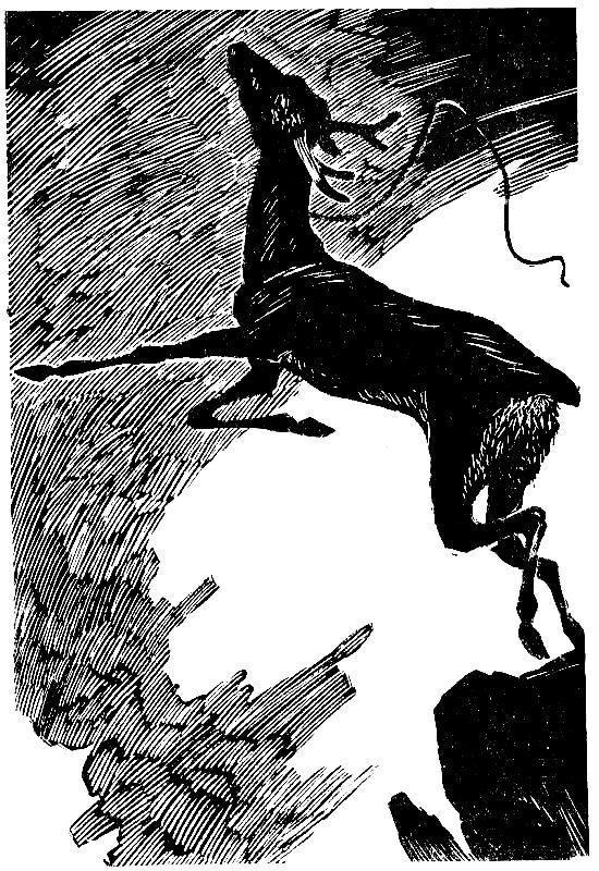 Пашка из Медвежьего лога - pic_11.jpg