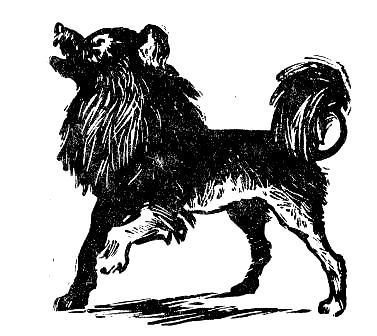 Пашка из Медвежьего лога - pic_29.jpg