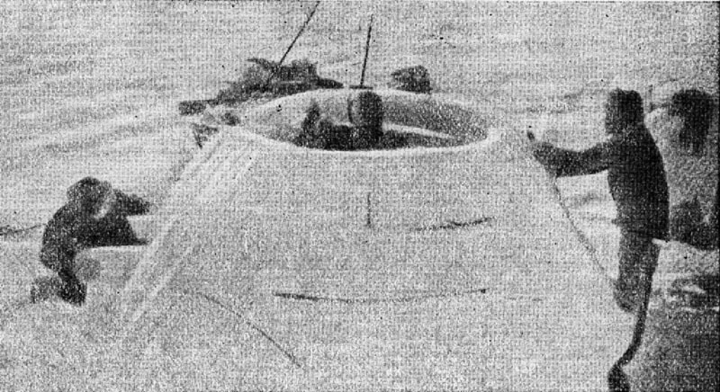 Гостеприимная Арктика - img_8.jpg