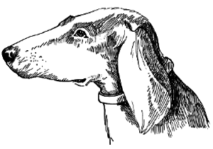 Таємничий острів - i_015.png