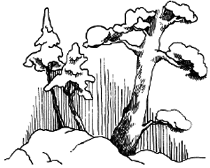 Таємничий острів - i_043.png