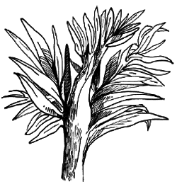 Таємничий острів - i_064.png