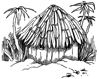 Таємничий острів - i_072.png