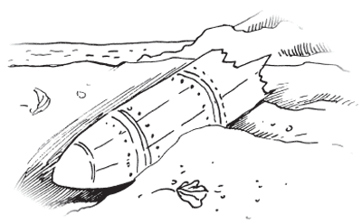 Таємничий острів - i_087.png