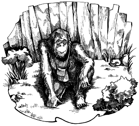 Таємничий острів - i_104.png