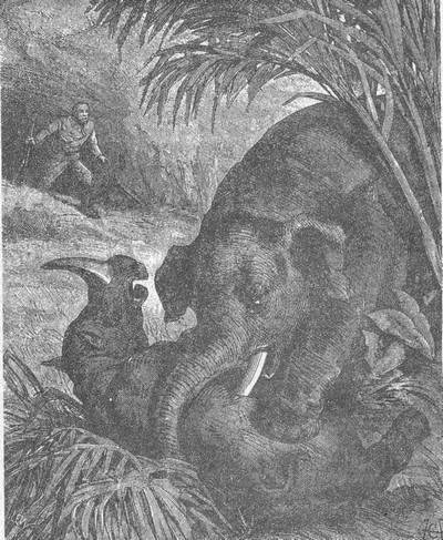 Том 1. В дебрях Индии (с илл.) - i_008.jpg