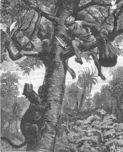 Том 1. В дебрях Индии (с илл.) - i_010.jpg