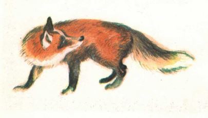 Не плачь, мухоморчик! - _28.jpg