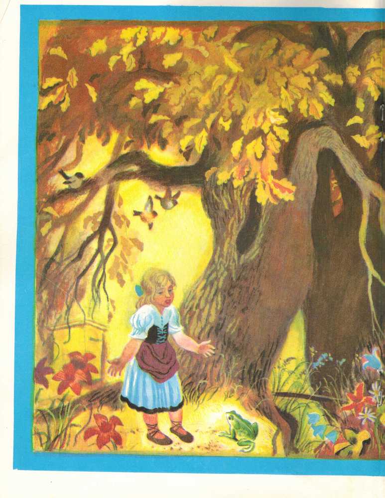 Не плачь, мухоморчик! - _16.jpg