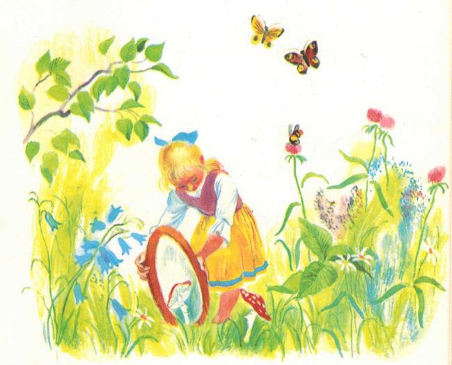 Не плачь, мухоморчик! - _21.jpg