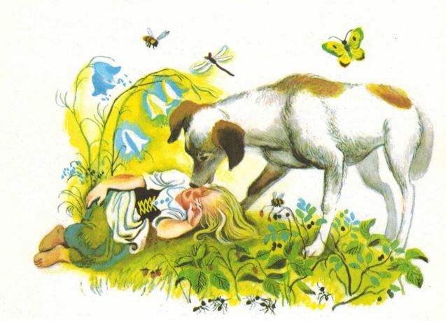 Не плачь, мухоморчик! - _20.jpg