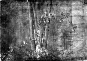 Флешка-2GB - _26.jpg