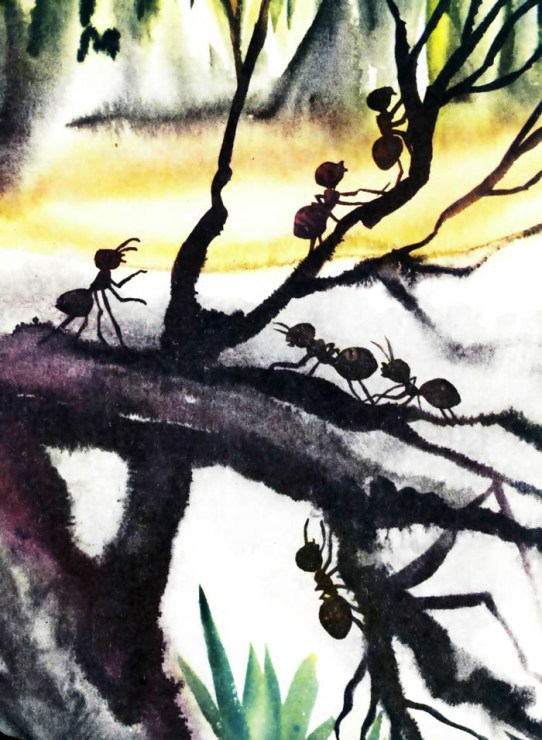 Тревоги Голубого города - i_004.jpg