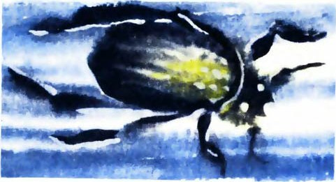 Тревоги Голубого города - i_012.jpg