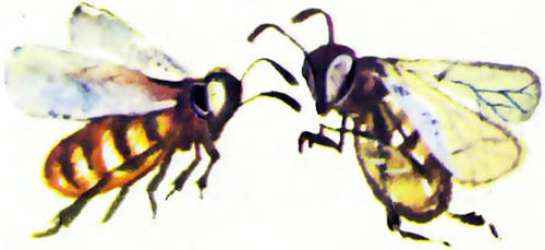 Тревоги Голубого города - i_025.jpg