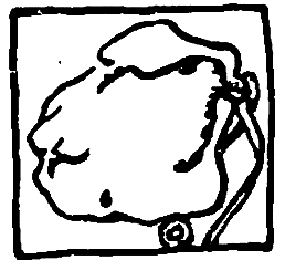 Тропа Селим-хана (сборник) - pic_20.png