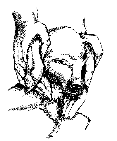 Такий він був... - i_007.png