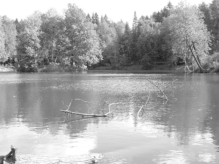 Лермонтов и Москва. Над Москвой великой, златоглавою - i_072.jpg