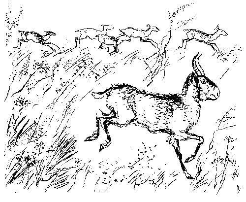 Каменный исполин (с илл.) - _102.png