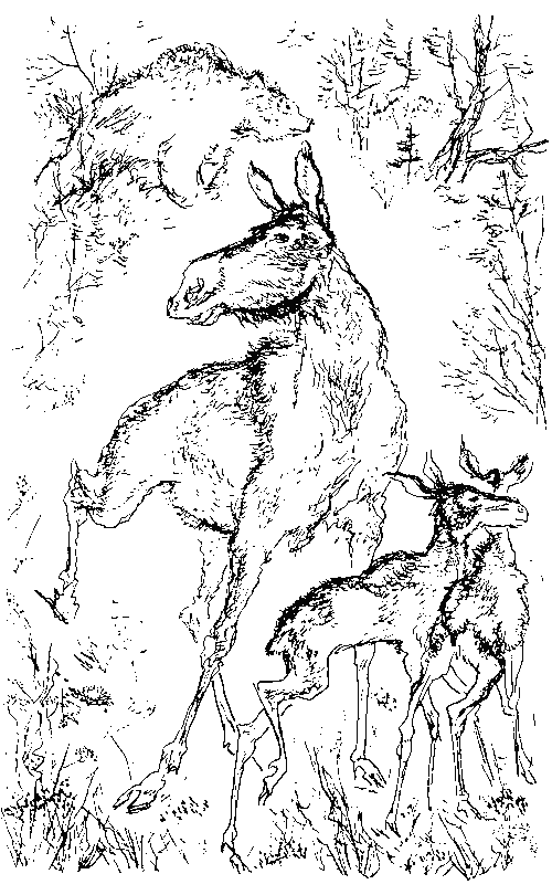 Каменный исполин (с илл.) - _13.png