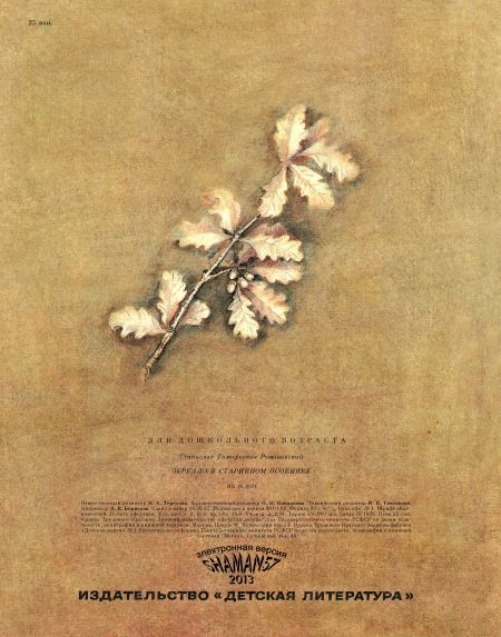 Зеркало в старинном особняке - i_026.jpg