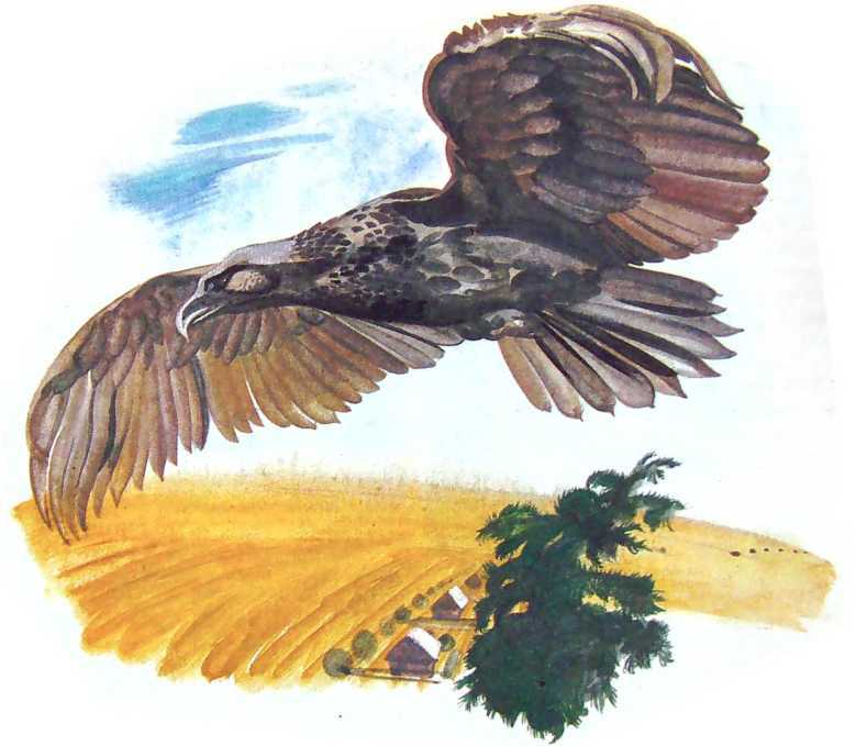 Семейный экипаж - i_004.jpg