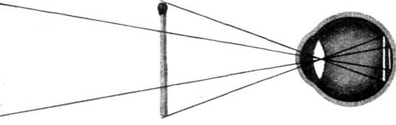 Меткие стрелки - pic_144.jpg