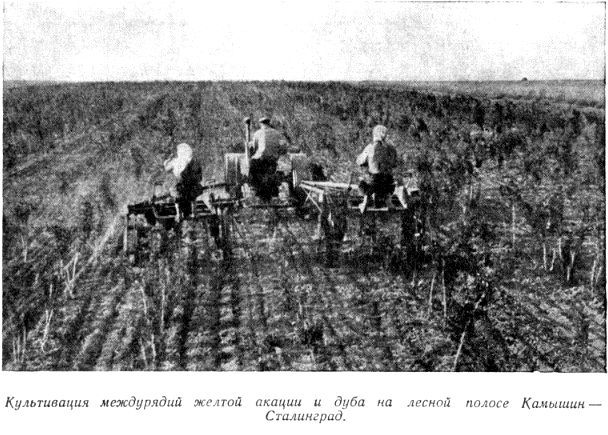 Первый рейс - pic_26.jpg