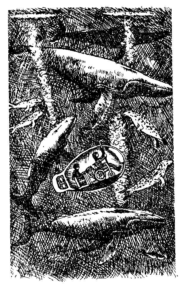 Каос и Бьёрнар - i_032.png