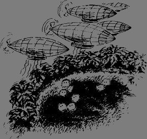 Спасители Ураканда - i_056.png