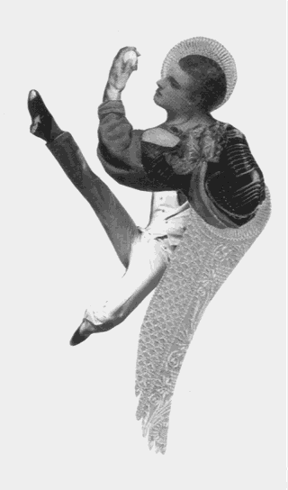 Екзотичні птахи і рослини з додатком «Індія» - i_003.png