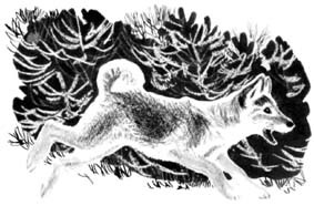 Джулькино детство - _11.jpg